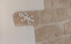 Casa Vacanze Il Geco